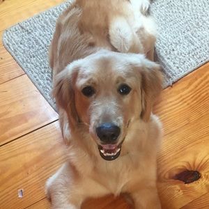 Meet your Posher, Mia